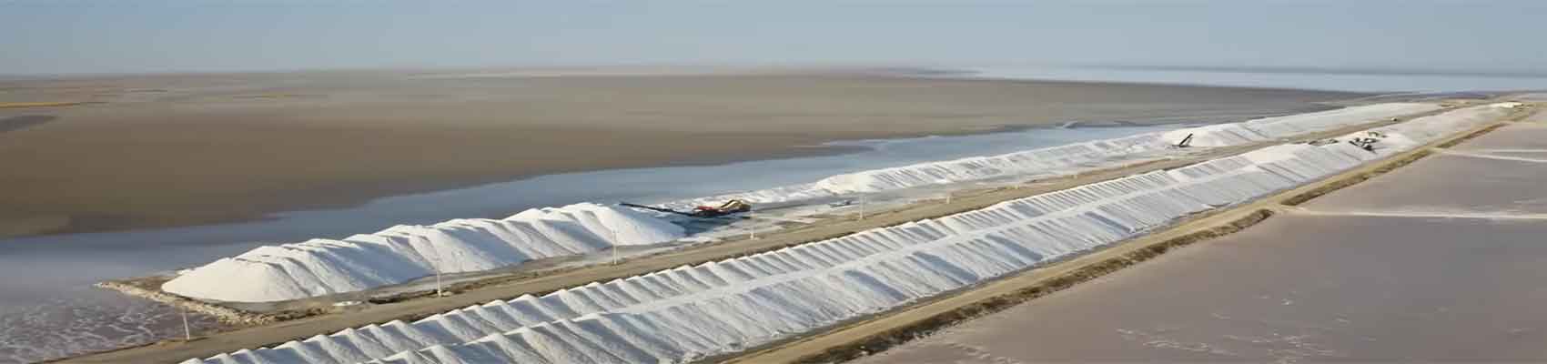 Nacl Salt Products